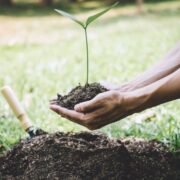 BNDES e Serviço Florestal estruturam concessão de 11 unidades de conservação