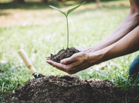 BNDES e Serviço Florestal estruturam concessão de 11 unidades de conservação