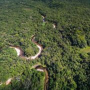 Desmatamento na Amazônia cai 30,6% em um ano