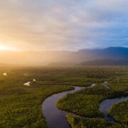 Petrobras e BNDES fazem parceria para restauração na Amazônia