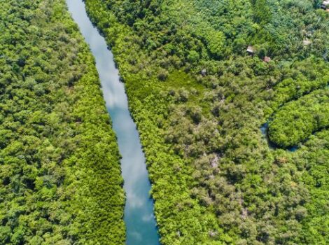 Noruega doa US$ 60 milhões ao Fundo Amazônia