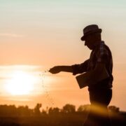 Agricultores apostam em novas tecnologias para superar a instabilidade climática; veja dicas para planejar a safra