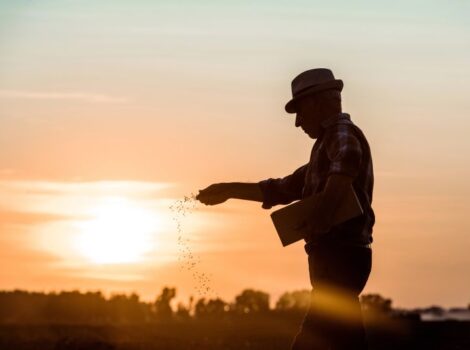 Agricultores apostam em novas tecnologias para superar a instabilidade climática; veja dicas para planejar a safra