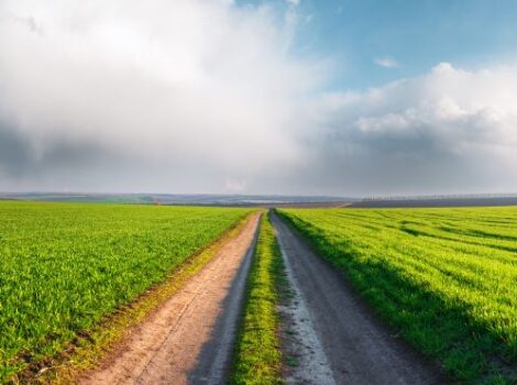 O papel estratégico de assuntos regulatórios no agro